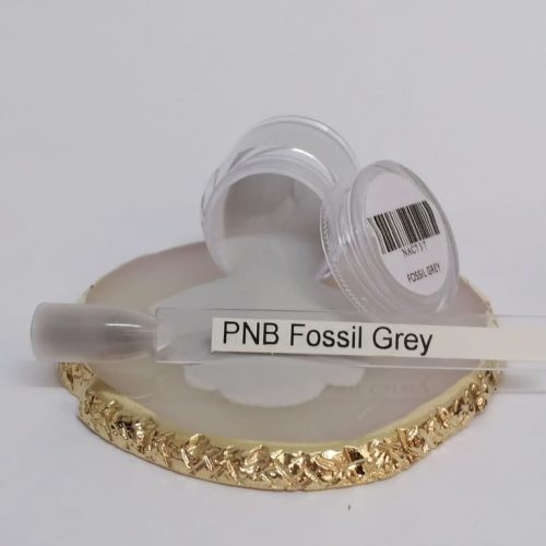 Acrylic Powder 10g Fossil Grey PNB