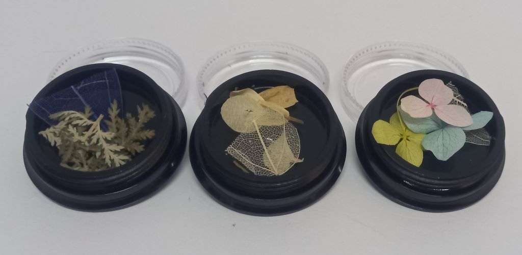Dried Flowers 3 Pack