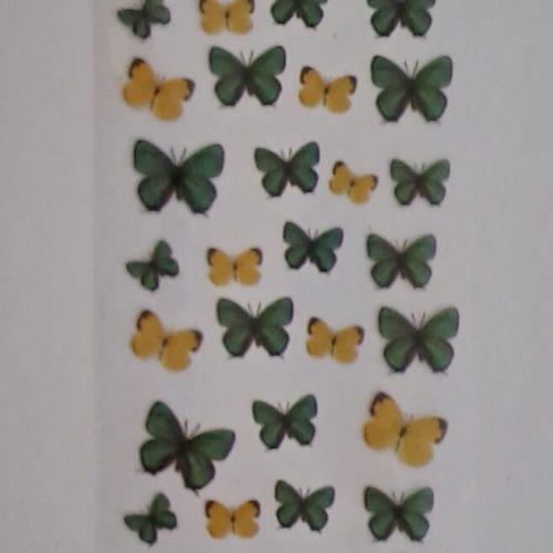 Foil Strip Ready and Release the Butterflies