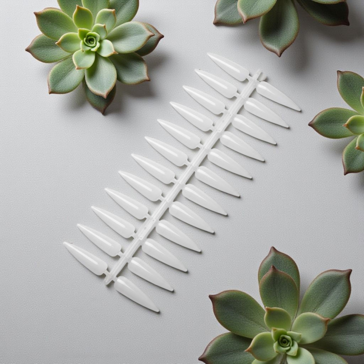 Display Tips Natural 240’s