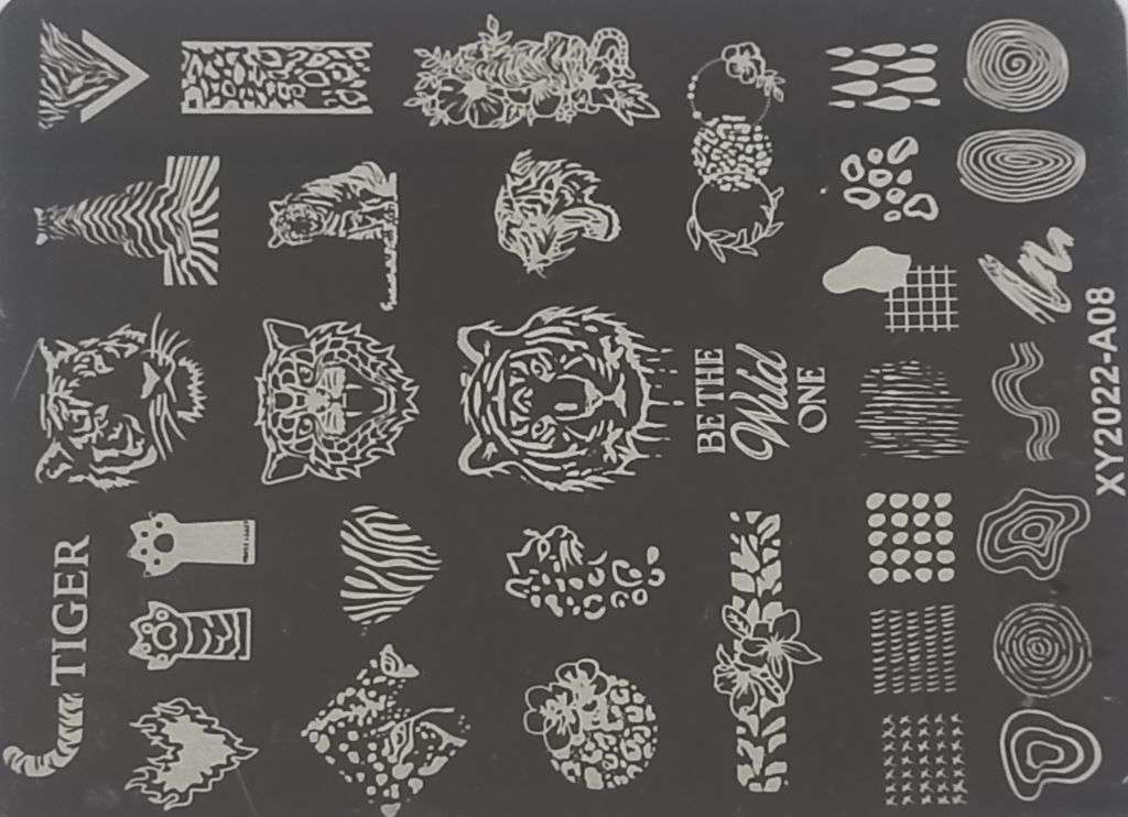 Stamping Plate XY2022-A08