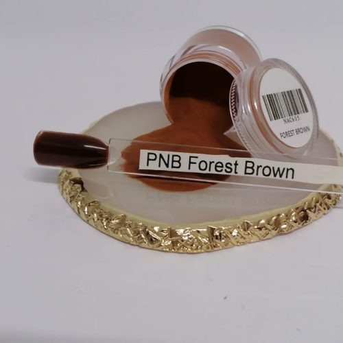 Acrylic Powder 10g Forest Brown PNB