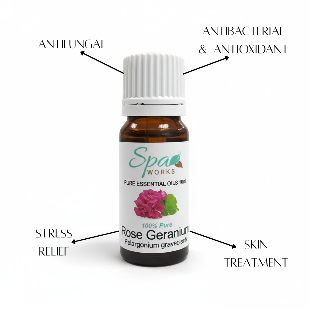 Rose Geranium Essential Oil
