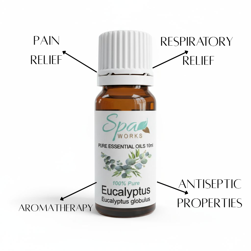 Eucalyptus Essential Oil