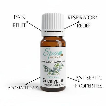 Eucalyptus Essential Oil