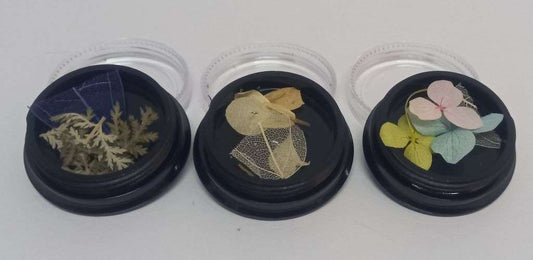 Dried Flowers 3 Pack