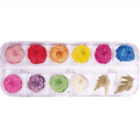 Poppy-Dry Flower Pack 11