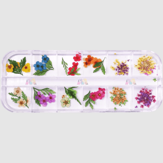 Mixed-Dry Flower Pack 12
