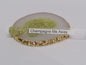 Champagne Me Away 4g Glitter