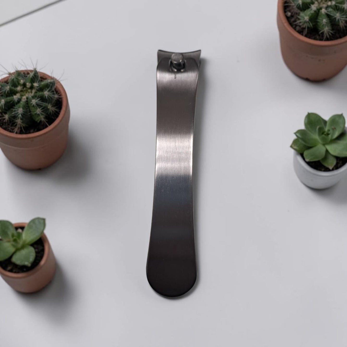 Spa Life Large Nail Clipper Curved