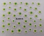 Nail Art Sticker green day flowers