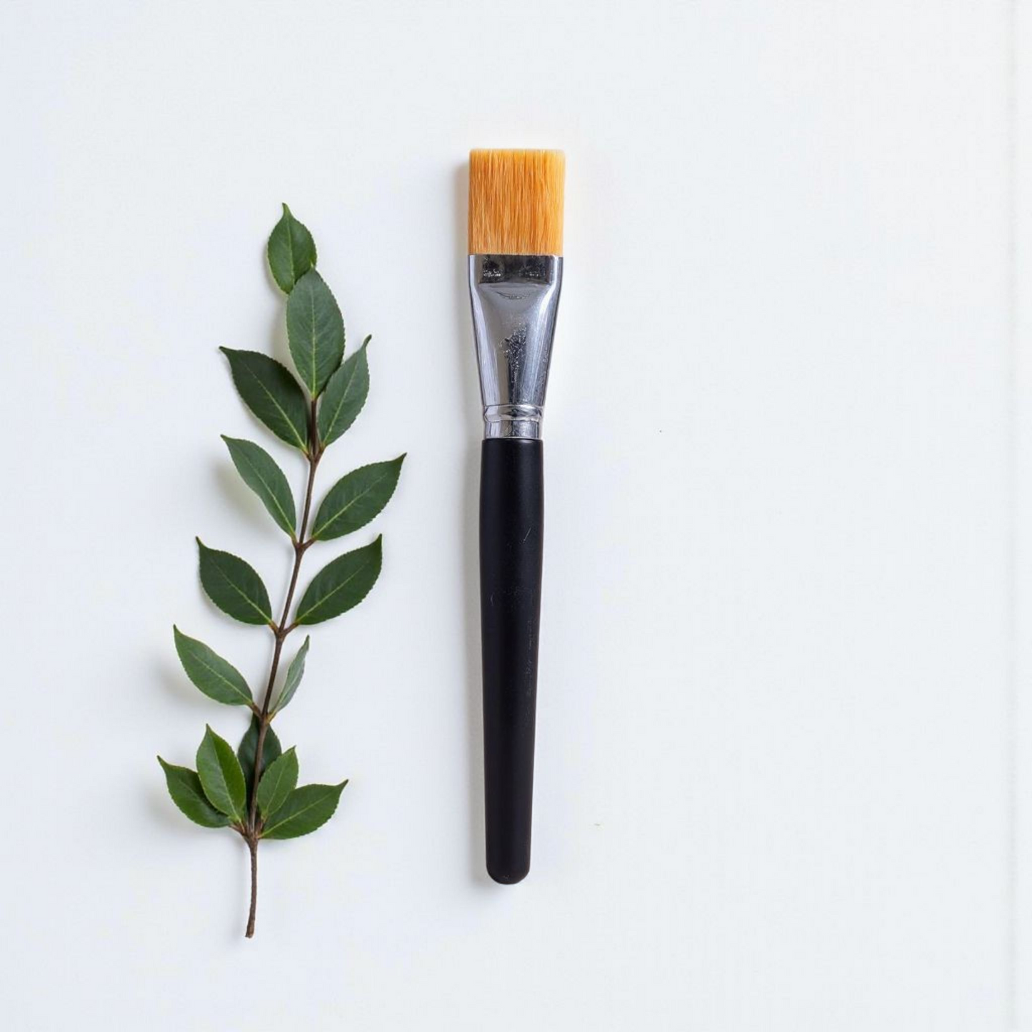 Mask Brush With Black Wooden Handle