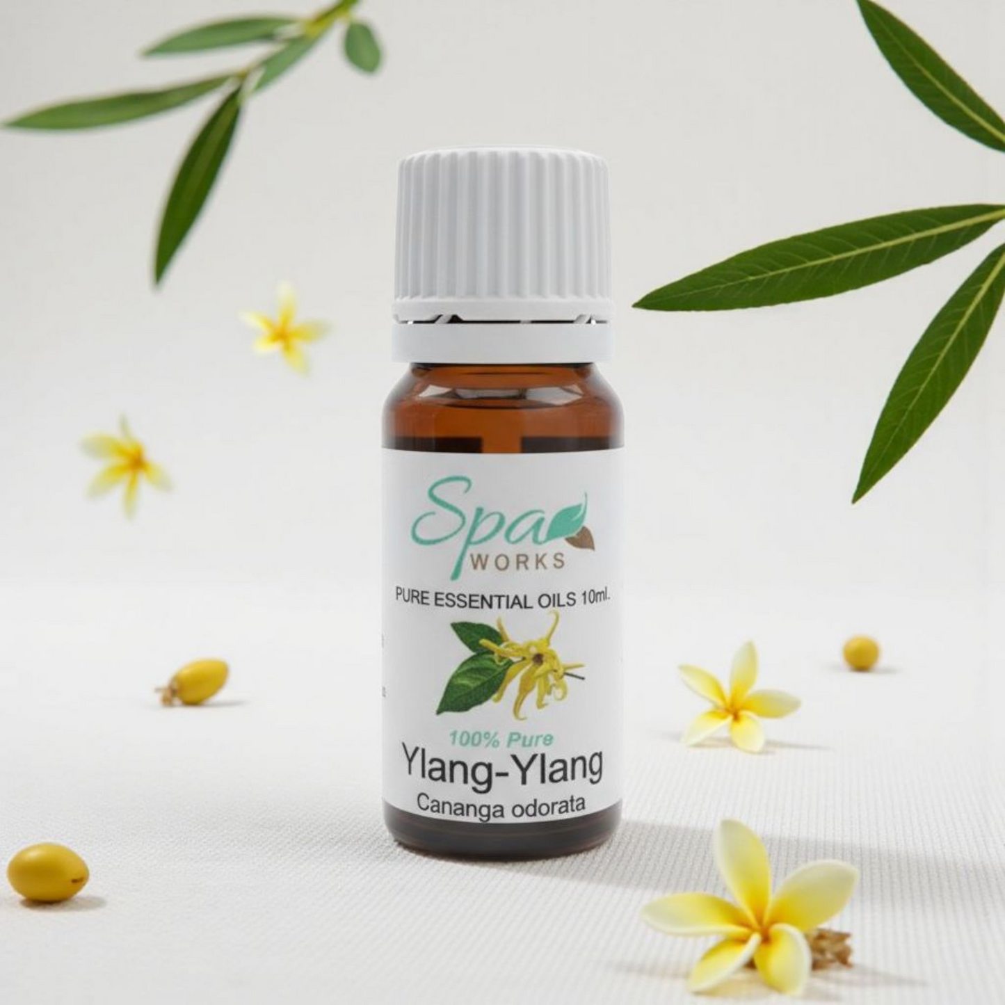 Ylang Ylang Essential Oil