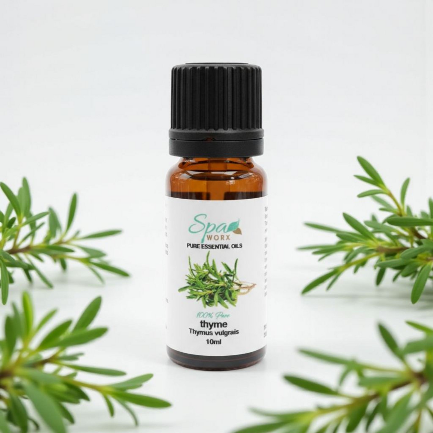 Thyme Essential Oil