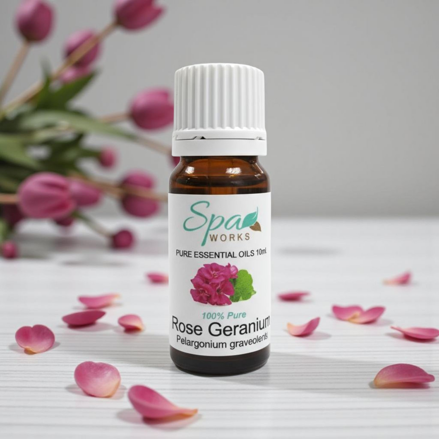 Rose Geranium Essential Oil