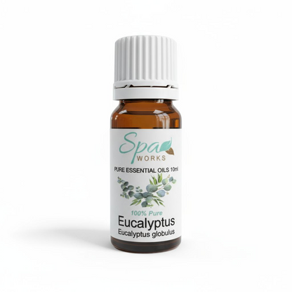 Eucalyptus Essential Oil