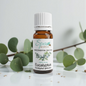 Eucalyptus Essential Oil