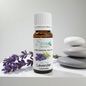 Lavender Essential Oil