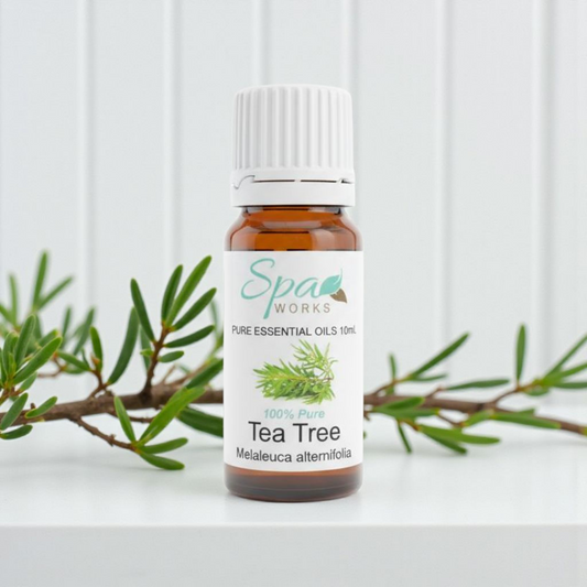 Tea Tree Essential Oil
