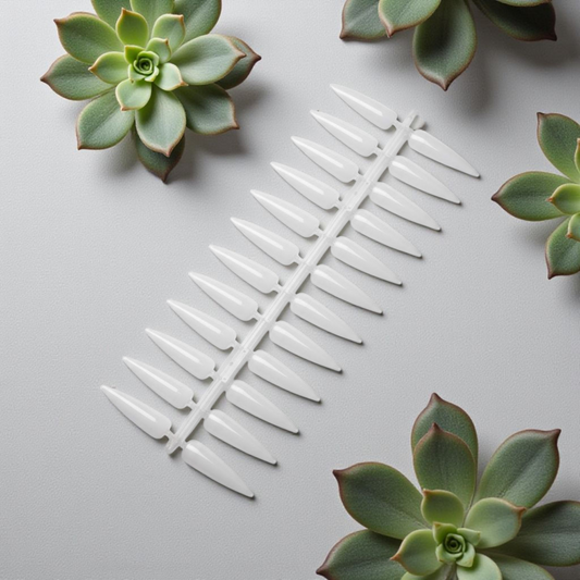 Display Tips Natural 240’s