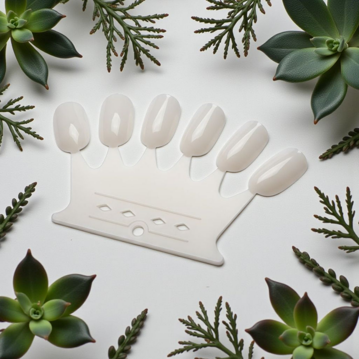 Display Crown Natural