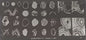 Stamping Plate Born Pretty – Texture L007