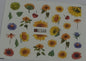 Waterart Slider Sunflower A1640