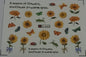 Waterart Slider Sunflower A1642
