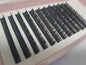 Classic Lashes Tray 0.15 D-Curl