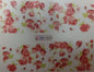 Waterart Transfer BN002