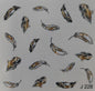 Waterart Slider J228 Black & Gold