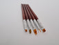 Wooden Brown Handle Brush