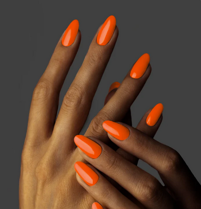 GP205 Nice Spice Baby